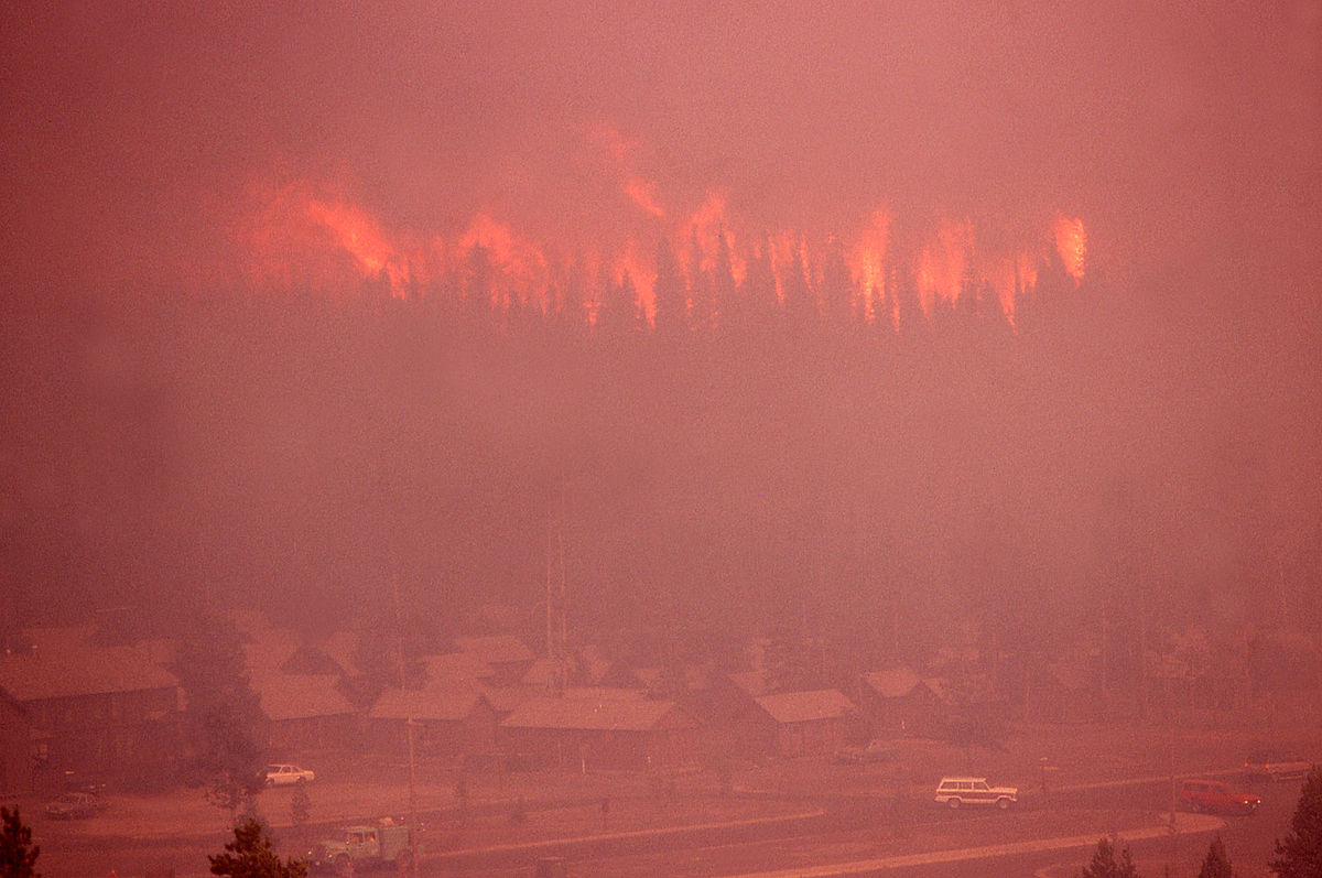 Tempête de feu