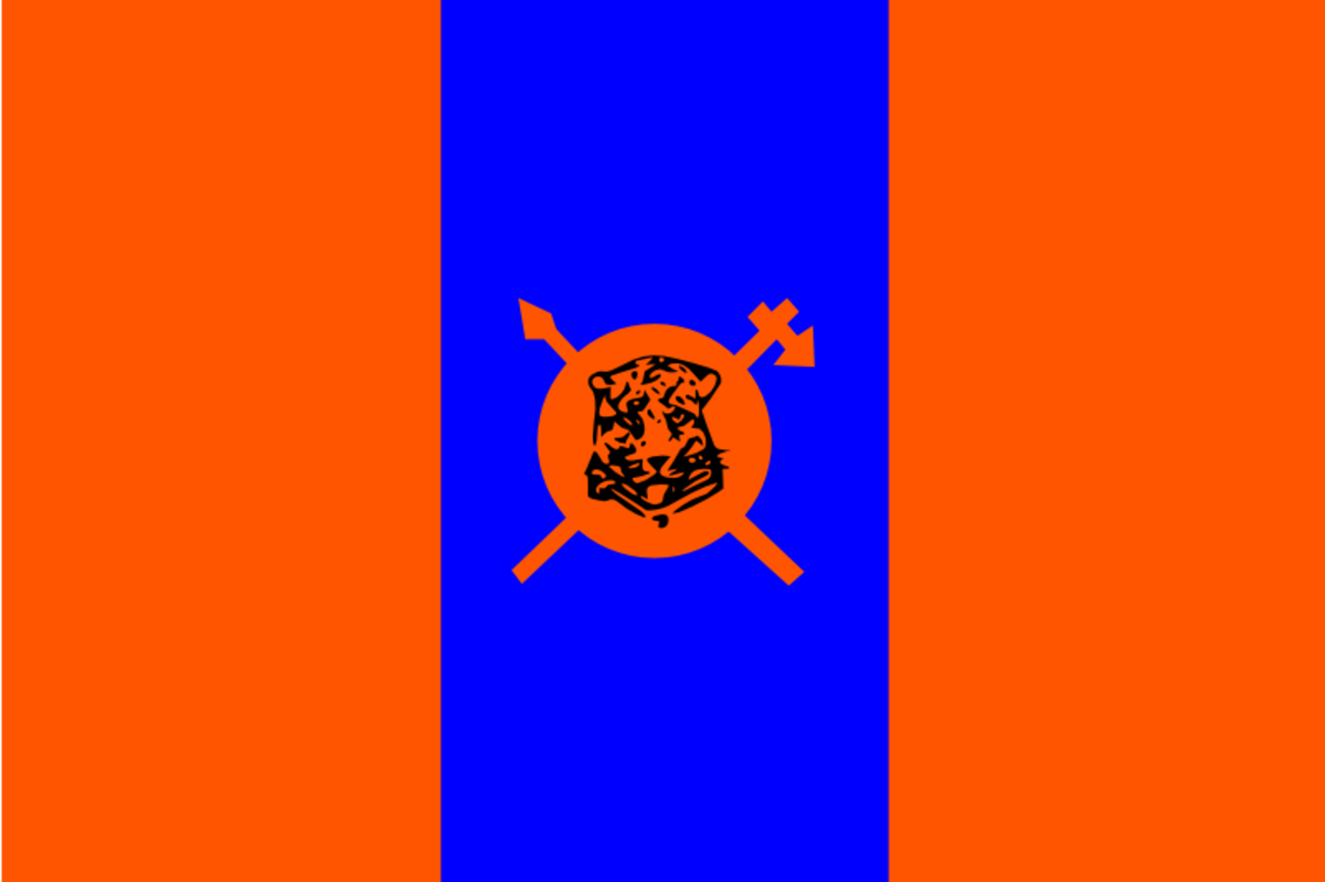 Bophuthatswana Air Force