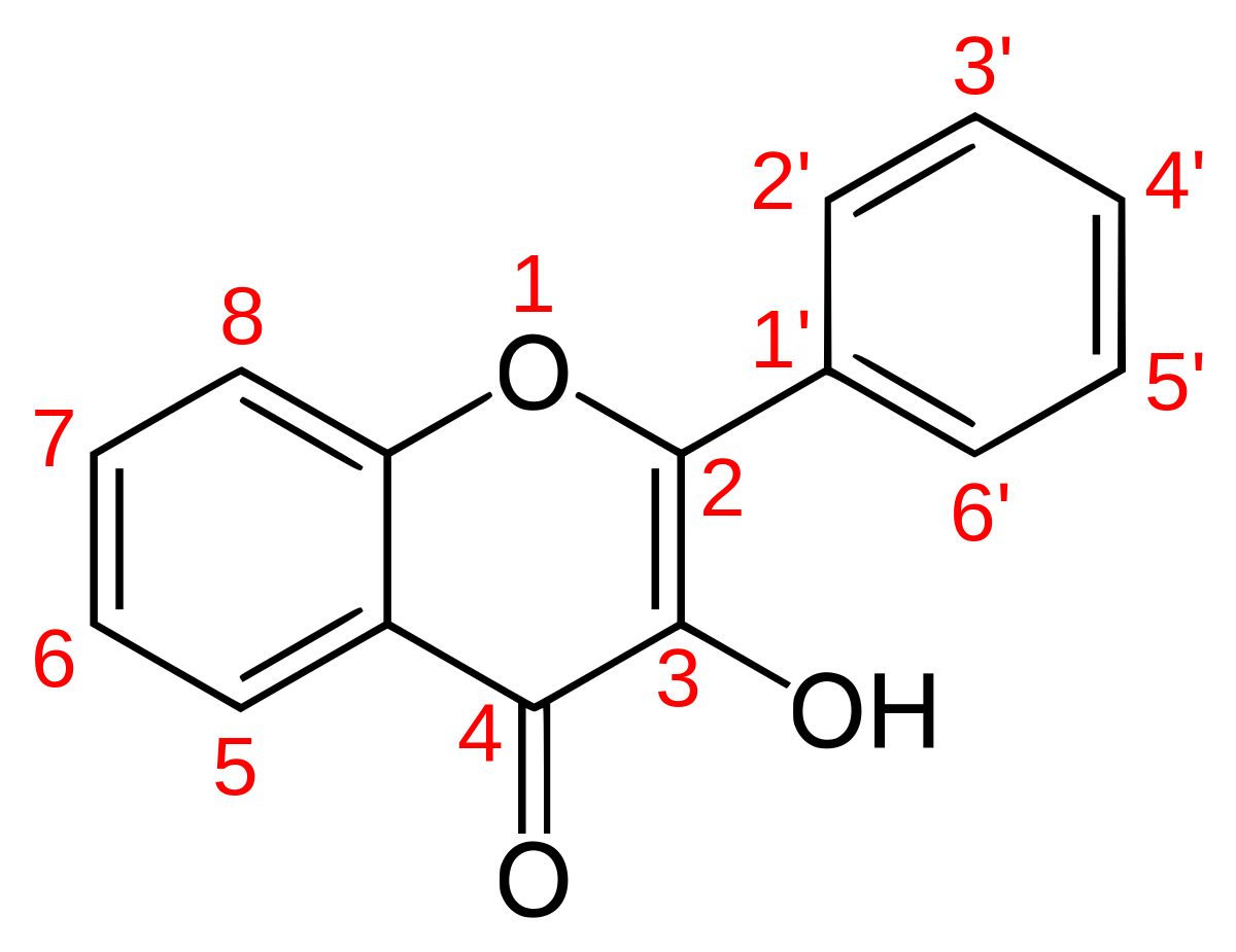 Flavonol num.svg