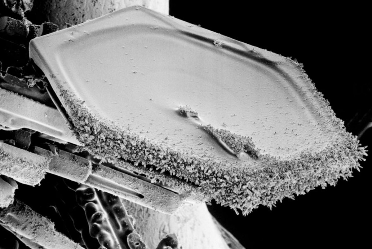 Cristal de glace