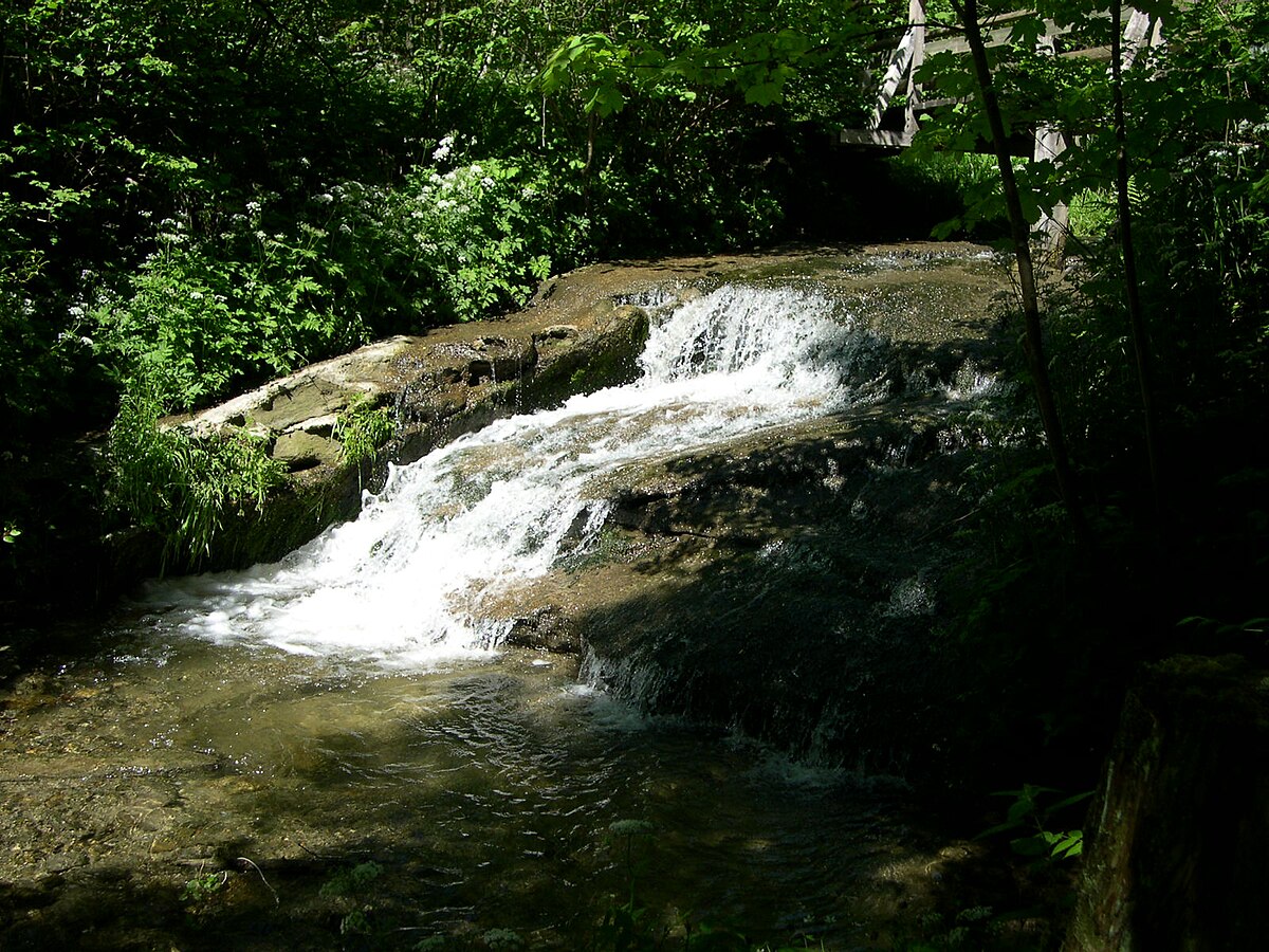 Flon (rivière)