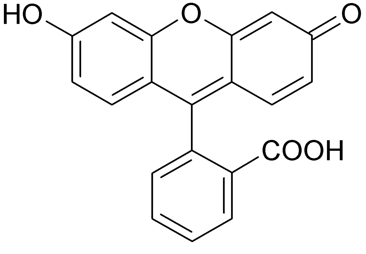 Fluorescéine