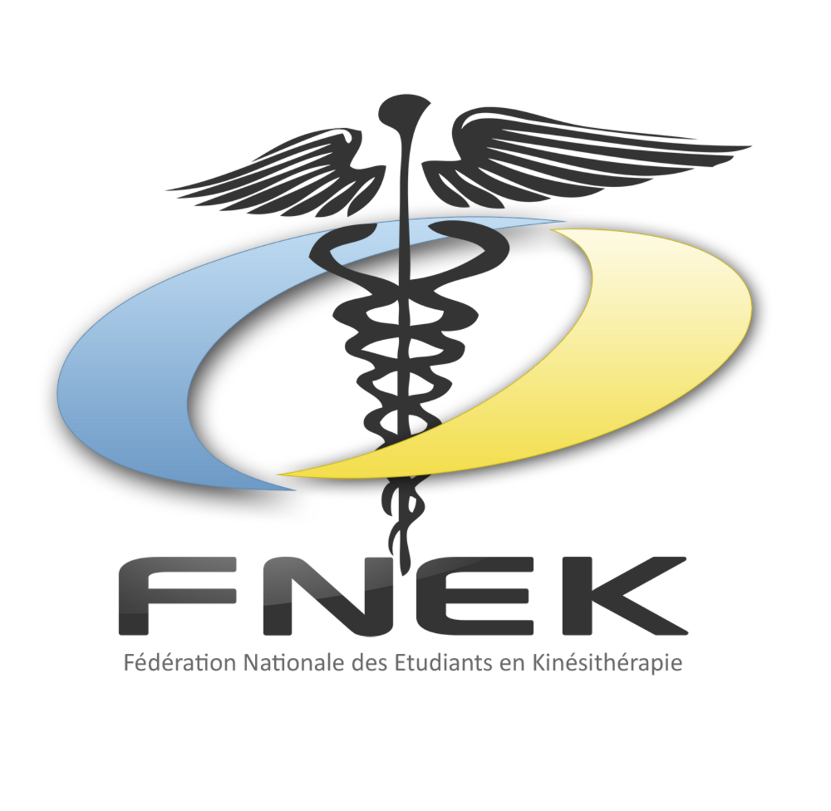 FNEK 2010.png