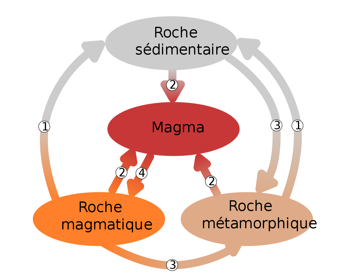 Roche