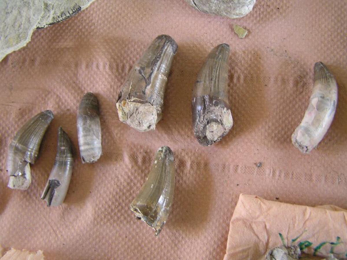 Fouilles10.JPG