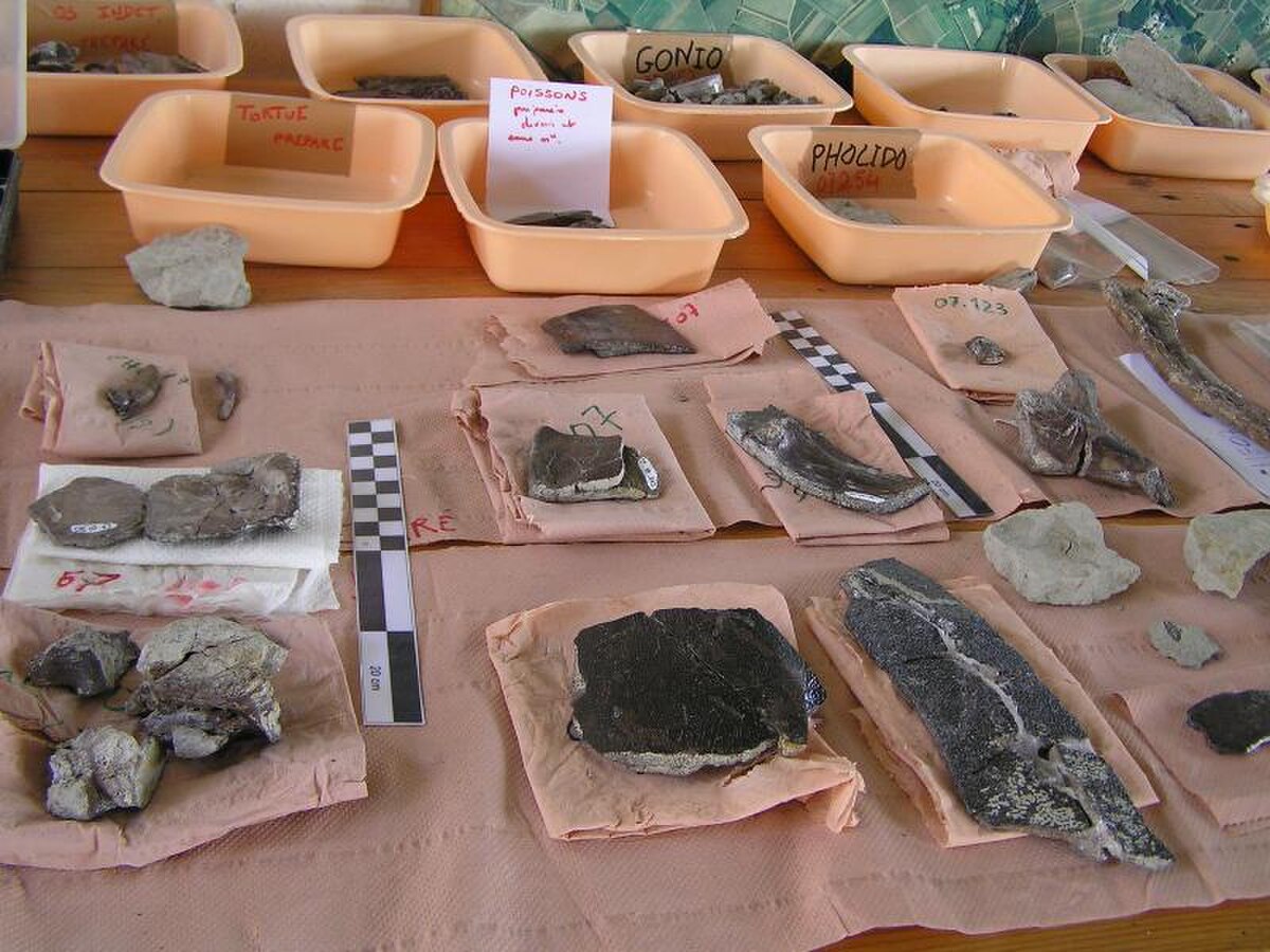 Fouilles2.JPG