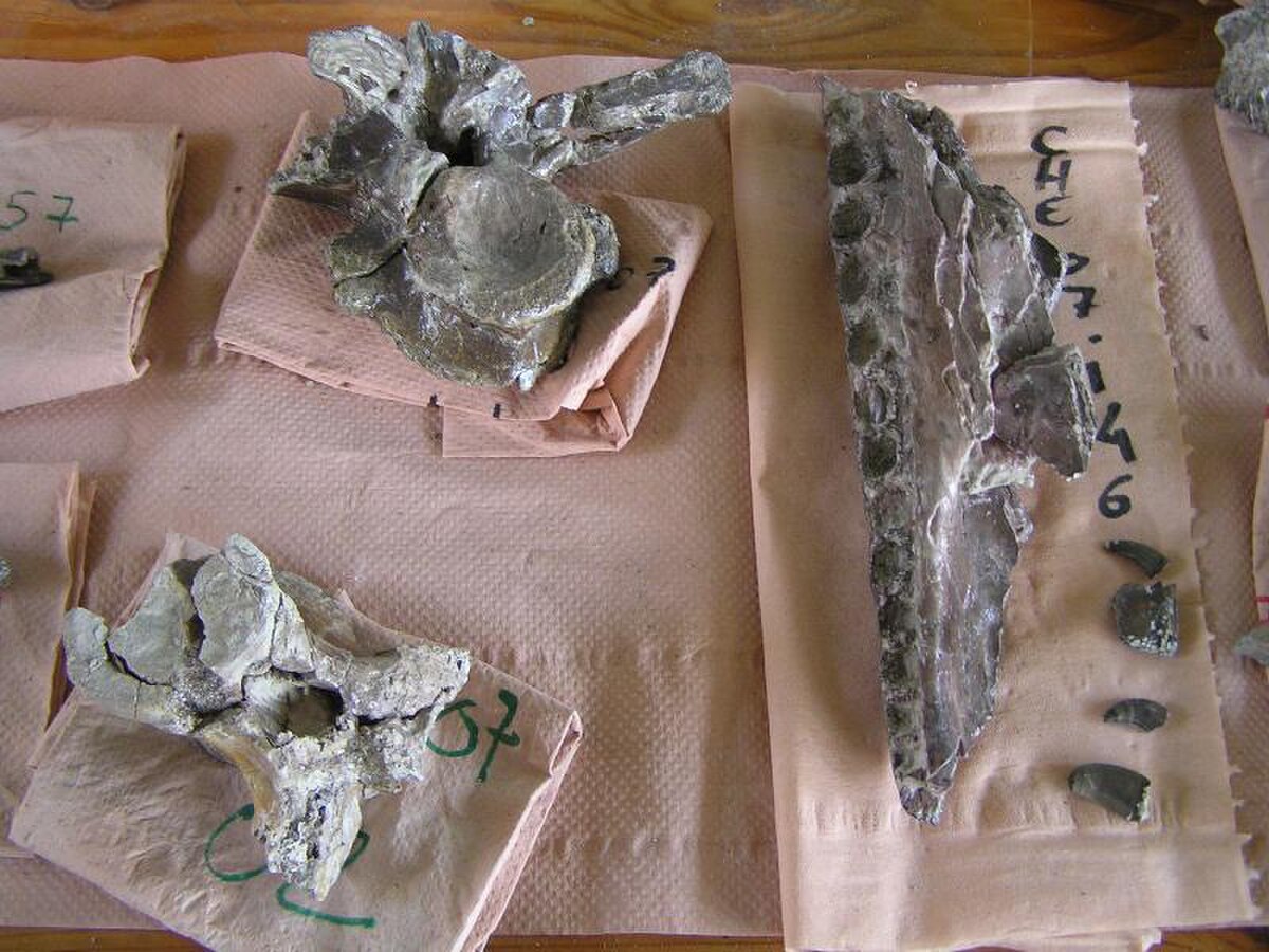 Fouilles9.JPG