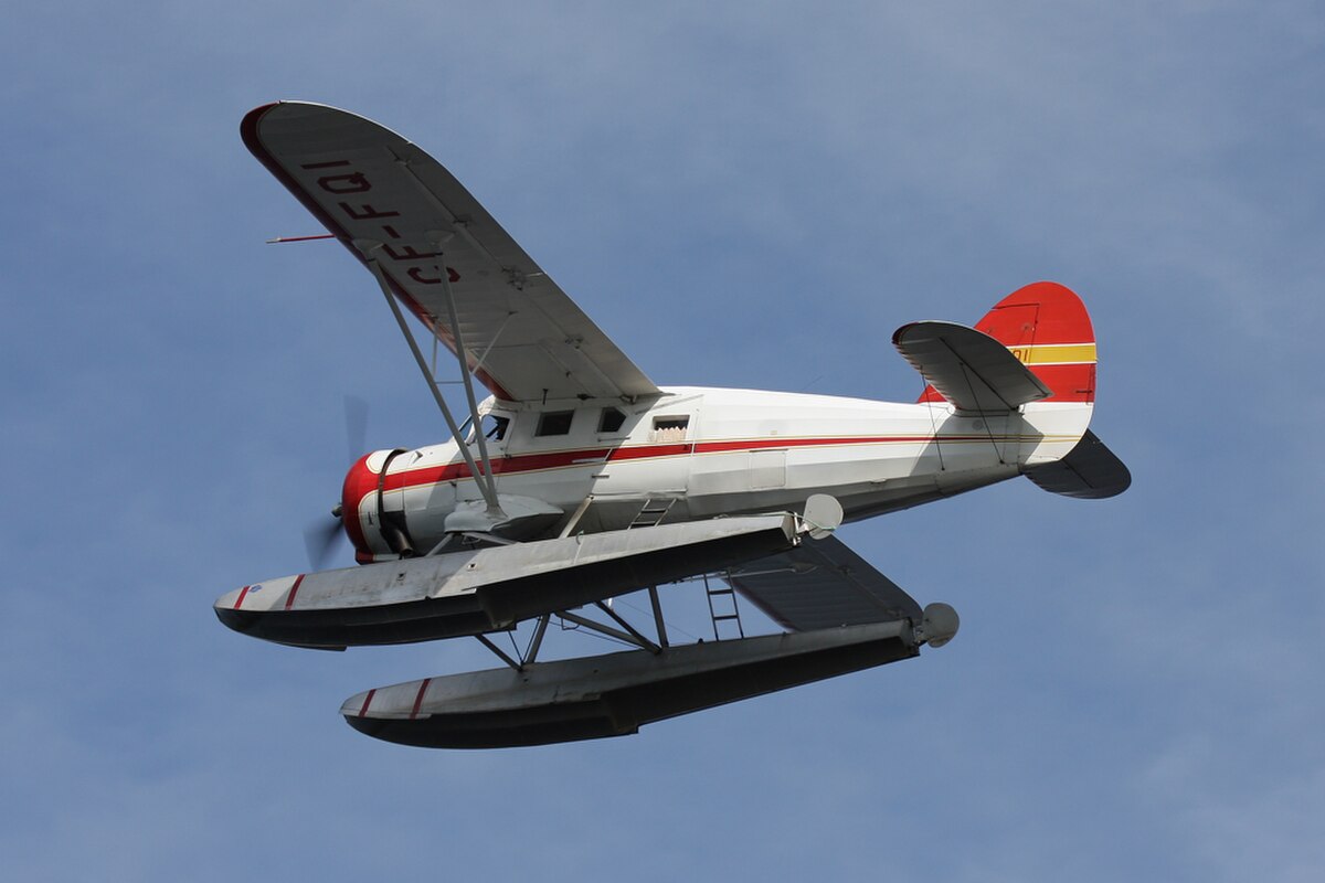 FQI Fly.jpg