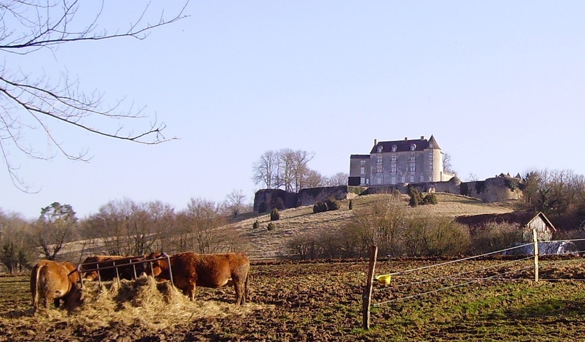 Château de Montréal