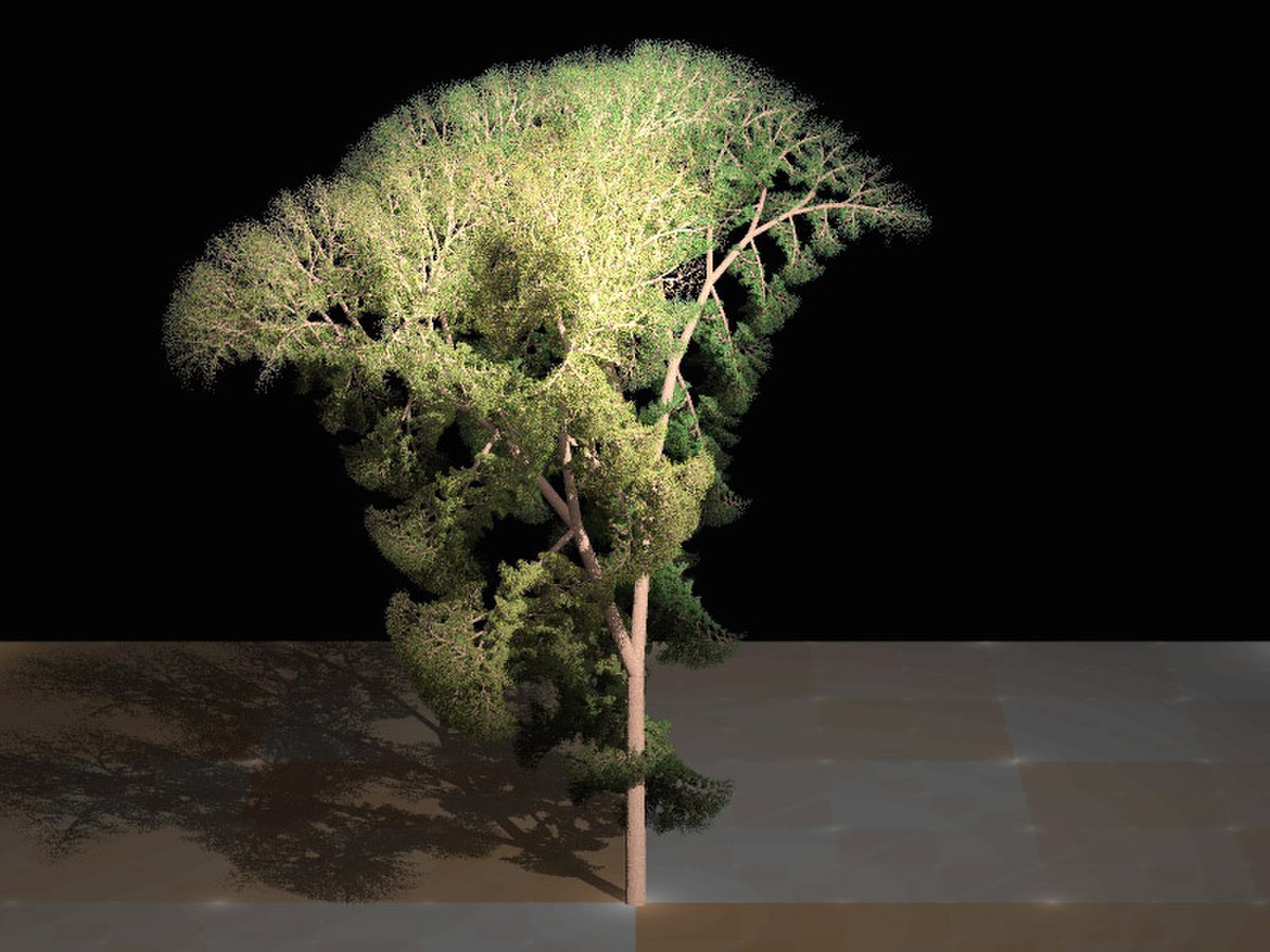 Fractal tree (Plate b - 3).jpg