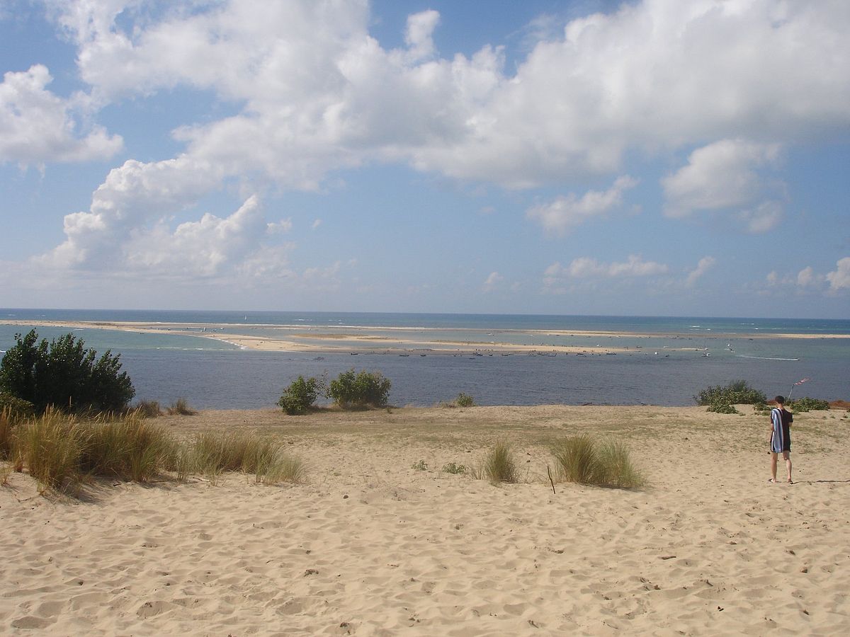 Réserve naturelle du banc d'Arguin