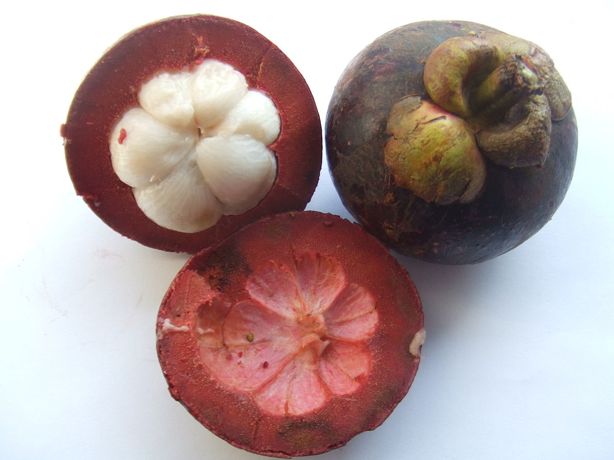 Garcinia