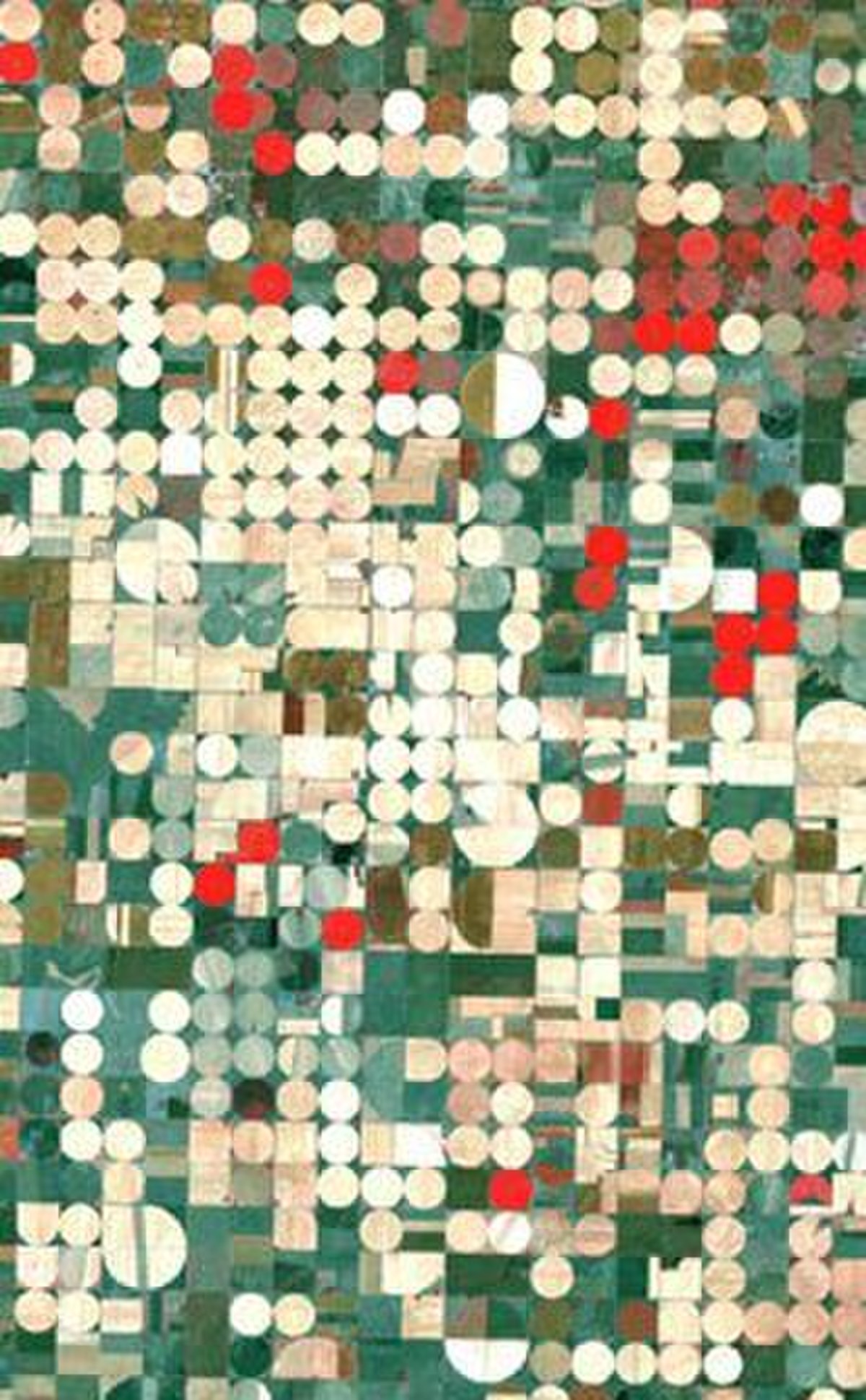 Image satellite (fausses couleurs) de champs irrigués près de Garden City, Kansas