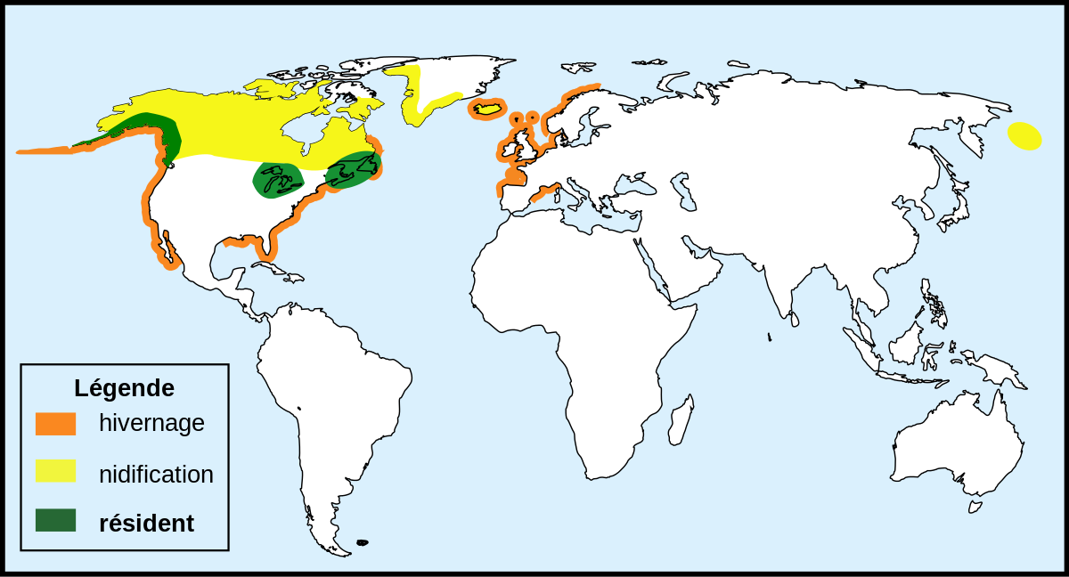Répartition de Gavia Immer