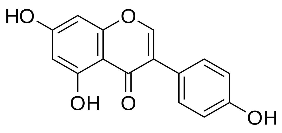 Génistéine