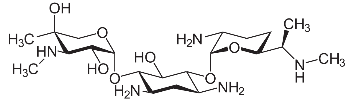 Gentamicine