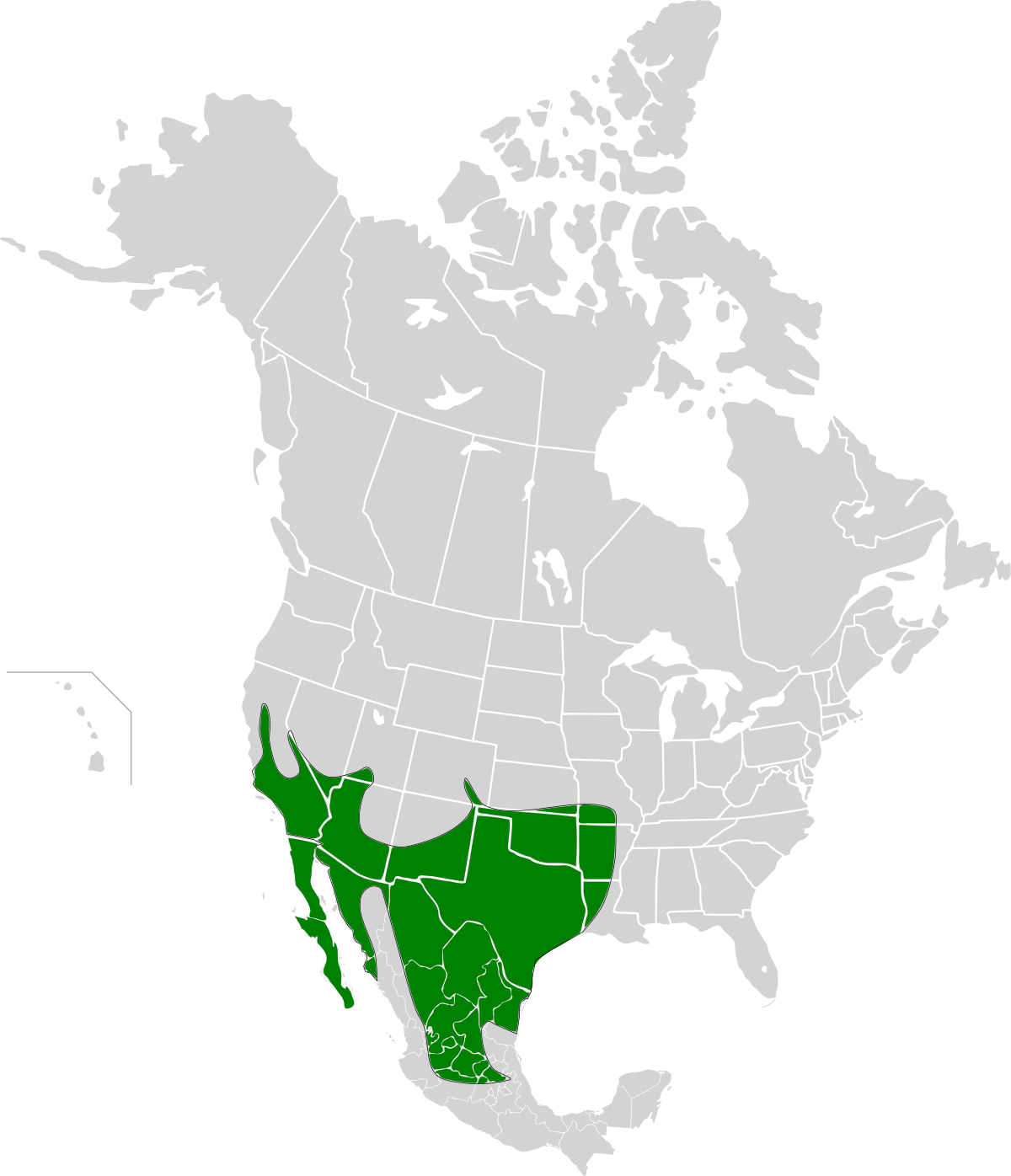 Répartition du Grand Géocoucou