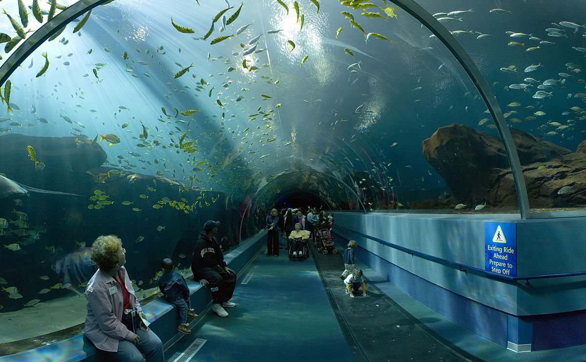 Aquarium public