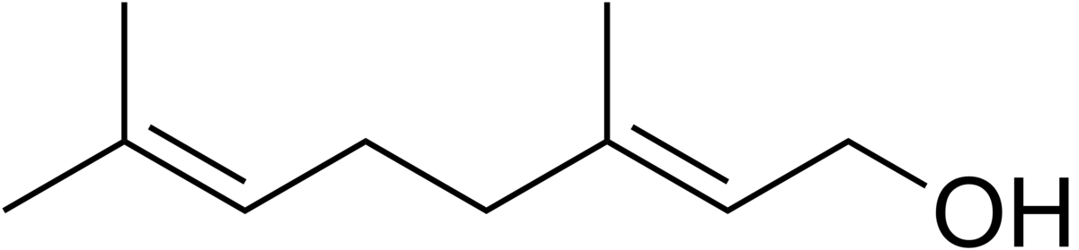 Geraniol structure.png