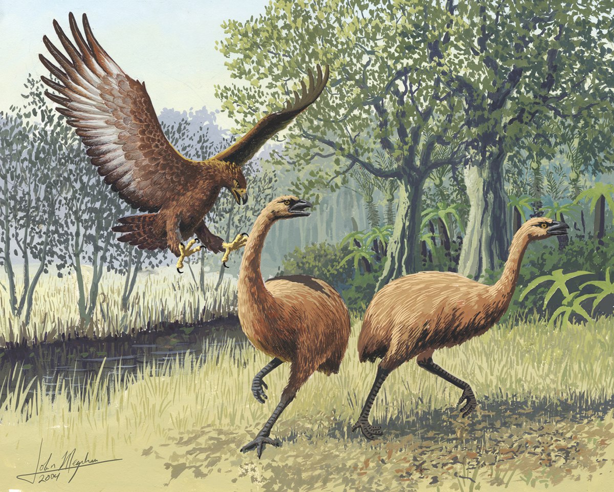 Liste des espèces d'oiseaux disparues