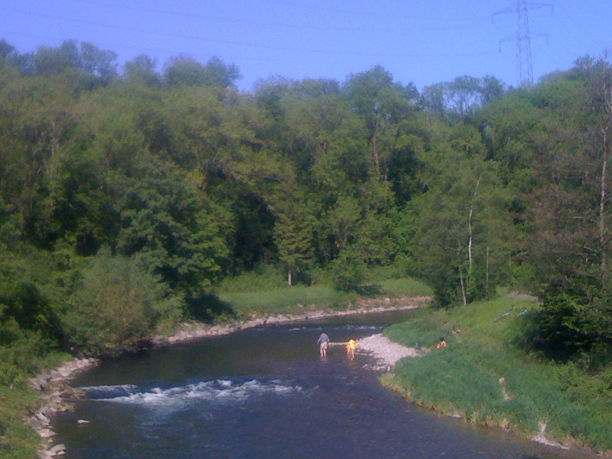 Glatt