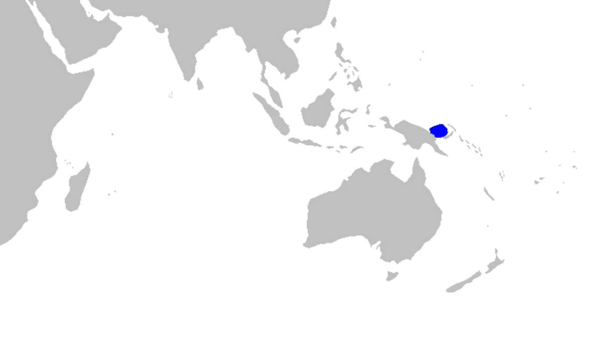 Gogolia filewoodi