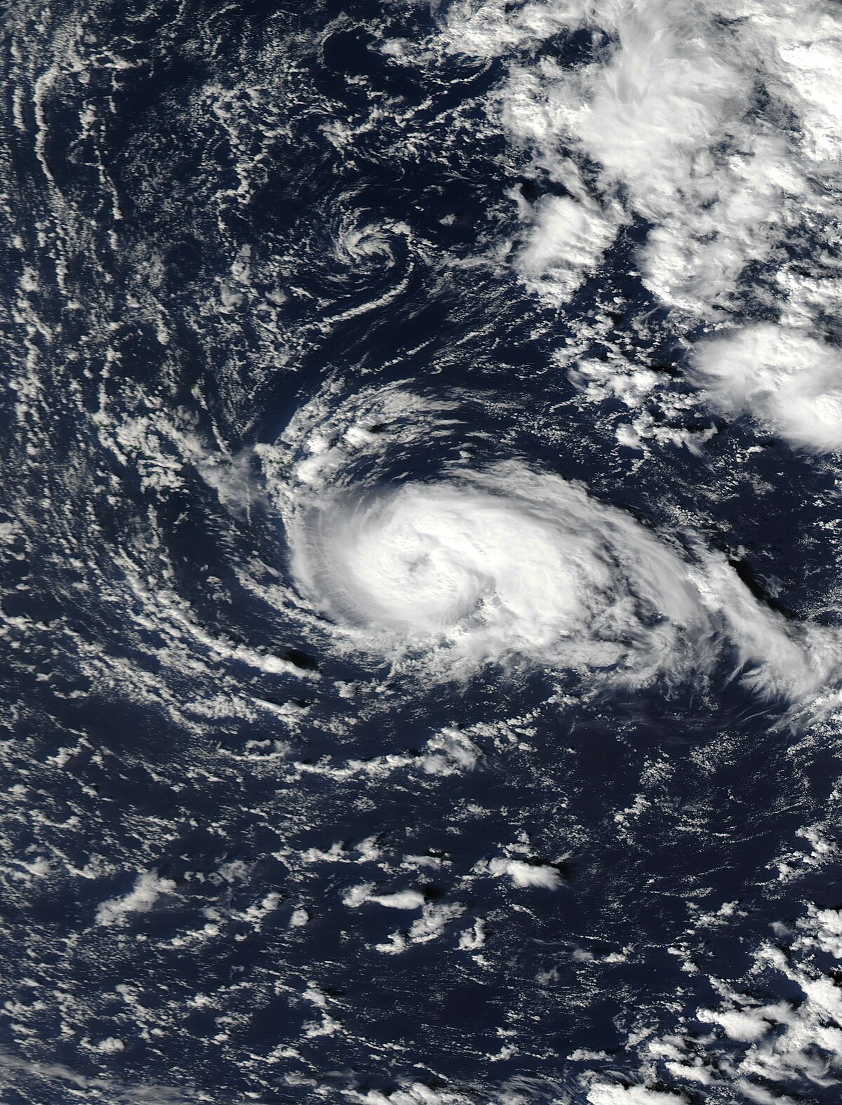 Tempête tropicale Grace (2009)