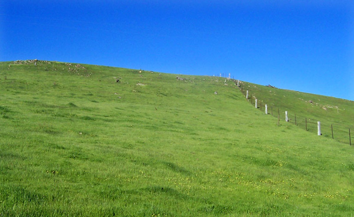 Un pré ou champ vert