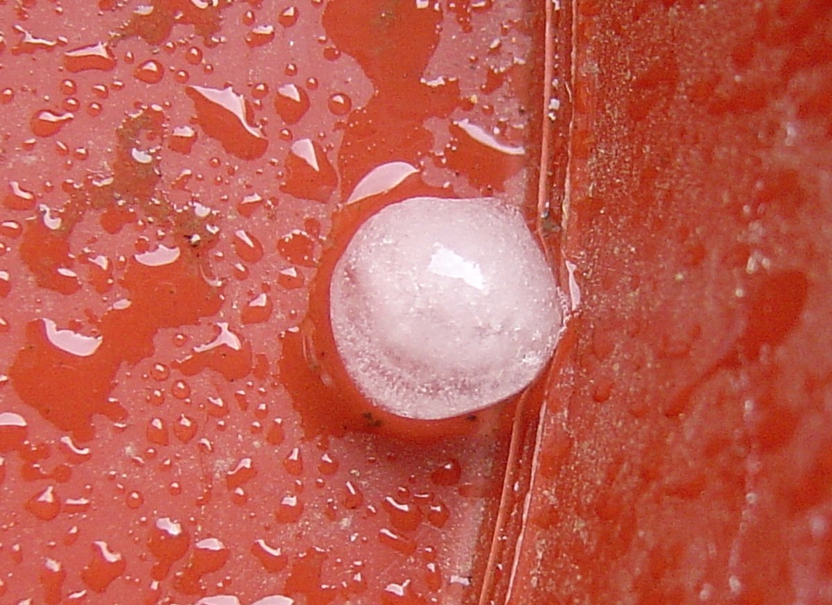 Grêle