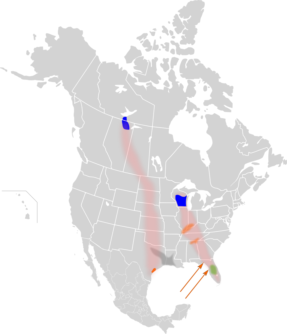 Répartition de la Grue blanche (1995) bleu: aire d'hivernage, gris: aire d'estivage, orange: aire d'hivernage, vert: résident à l'année