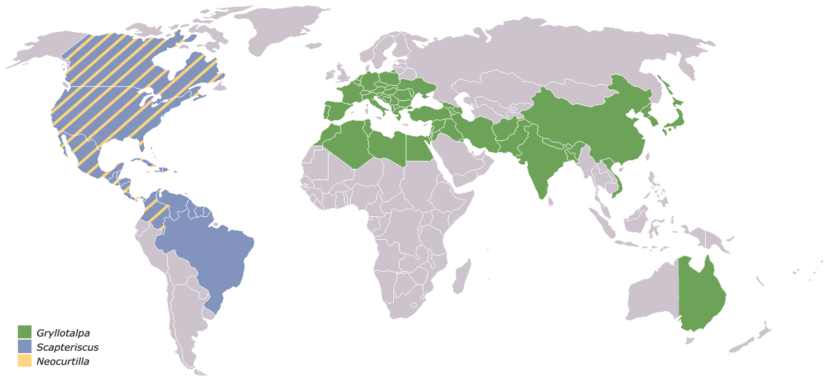Répartition de quelques genres: