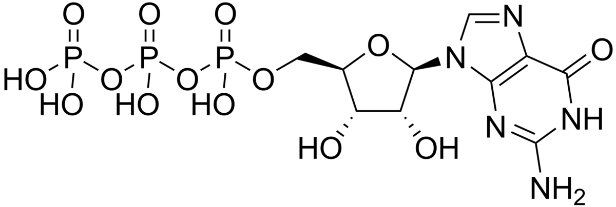 Guanosine triphosphate