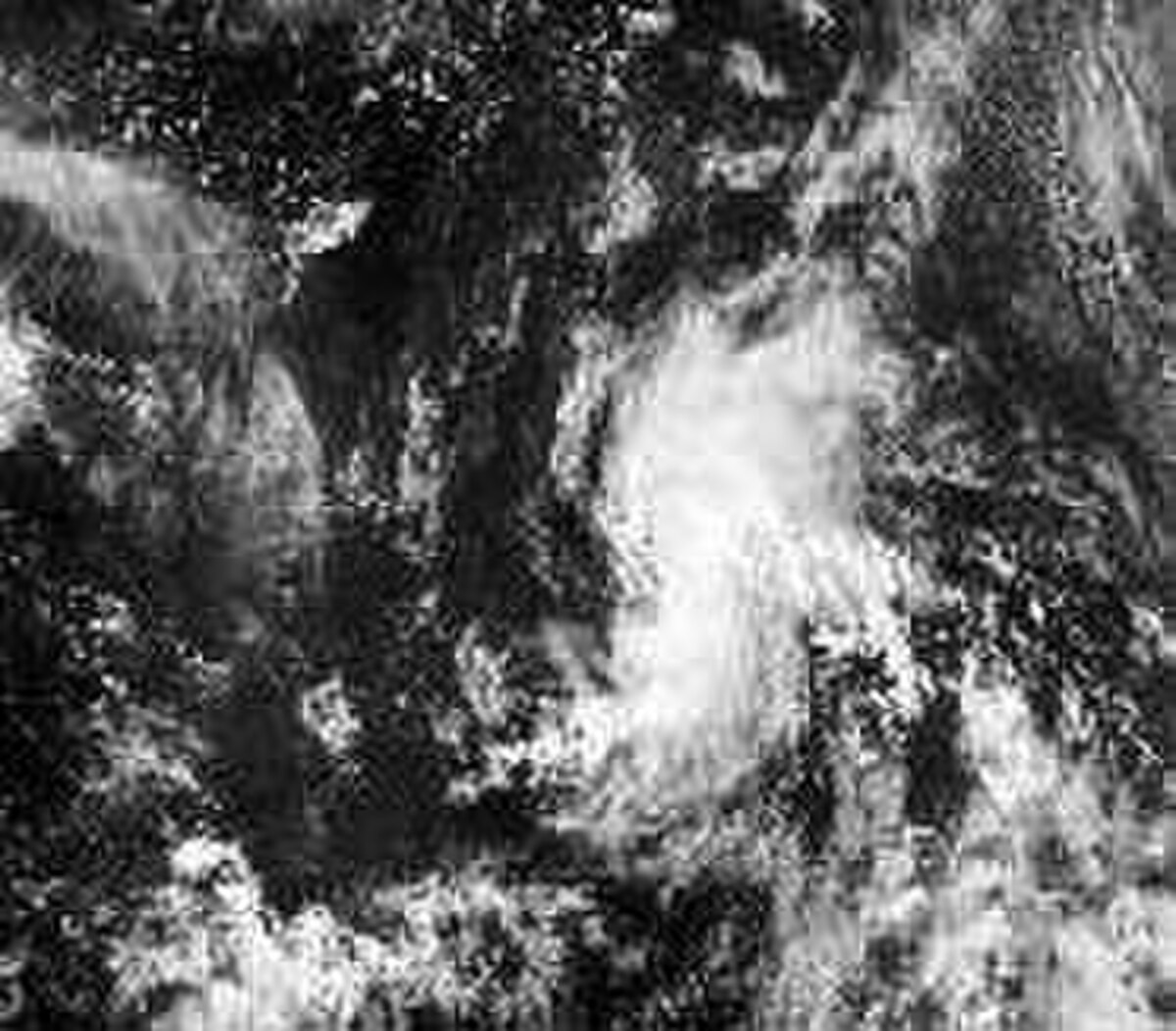 Gustav 1996 gibbsimage.JPG