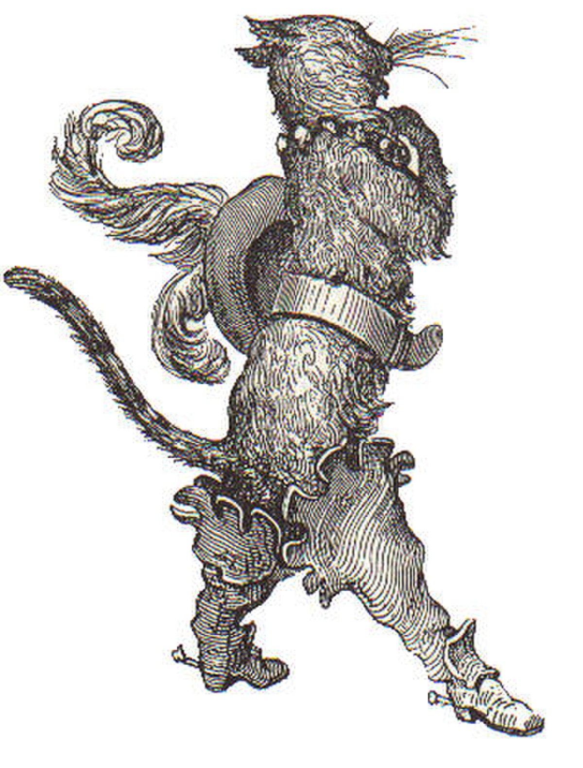 illustration de Gustave Doré montrant le chat portant botte et chapeau à plume