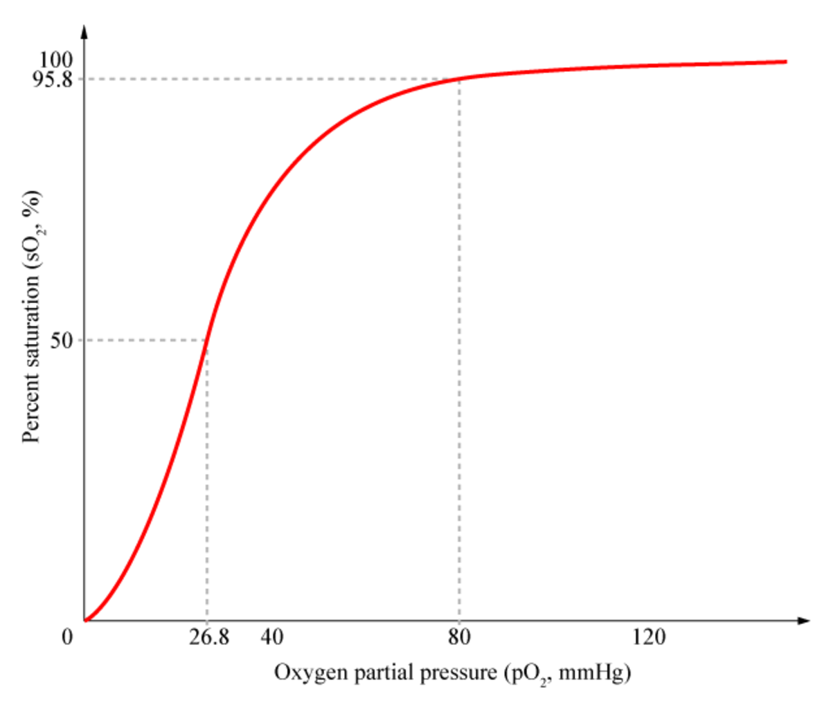 Hémoglobine