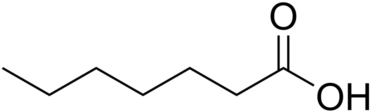 Acide heptanoïque