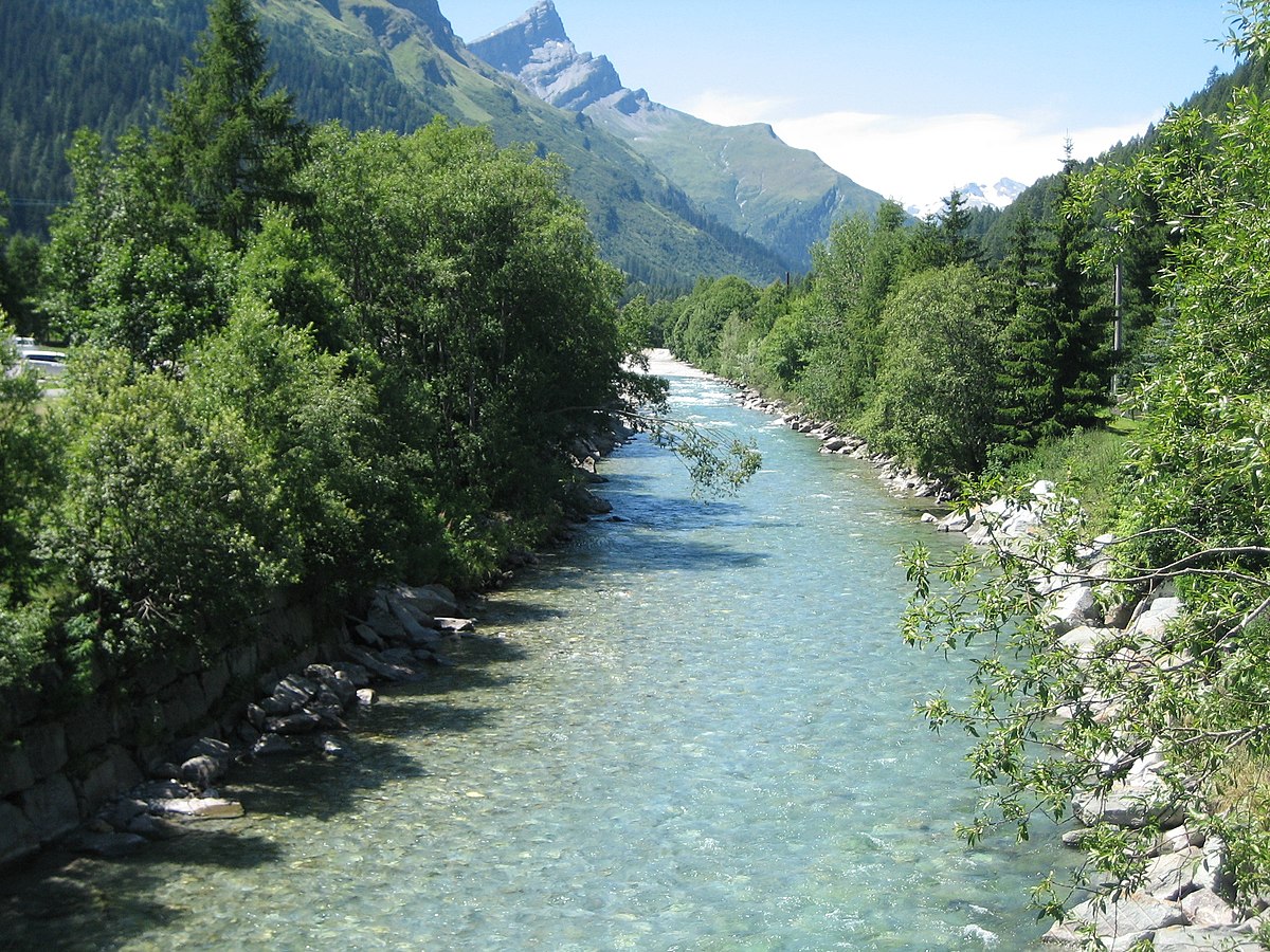 Rhin postérieur