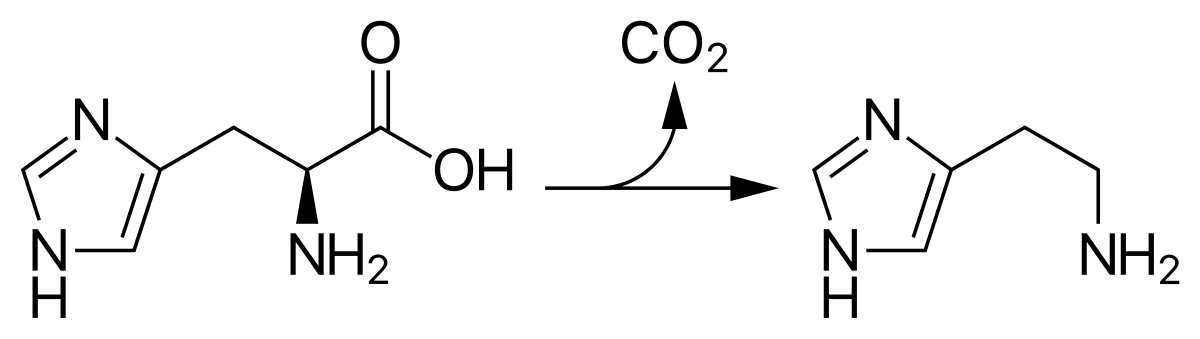 Scombrotoxisme