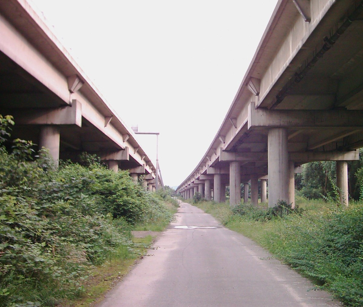 Hochstraße Elbmarsch 012.jpg