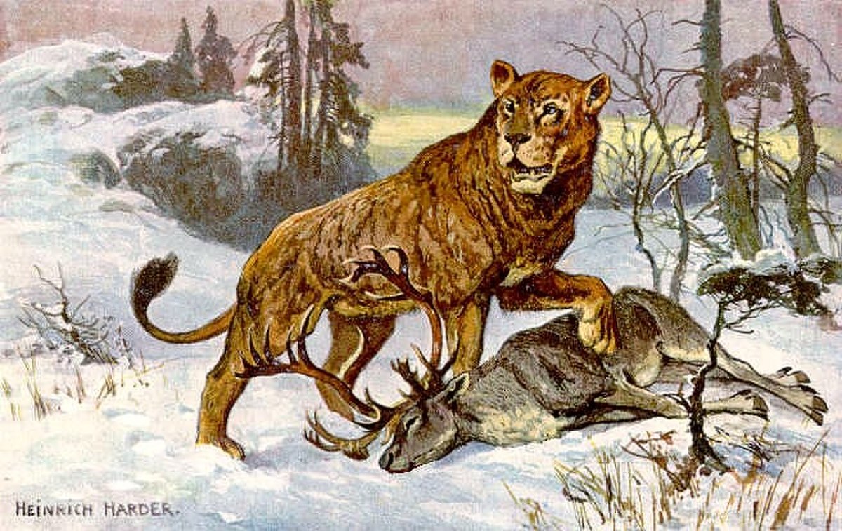Lion des cavernes, peint par H. Harder en 1920