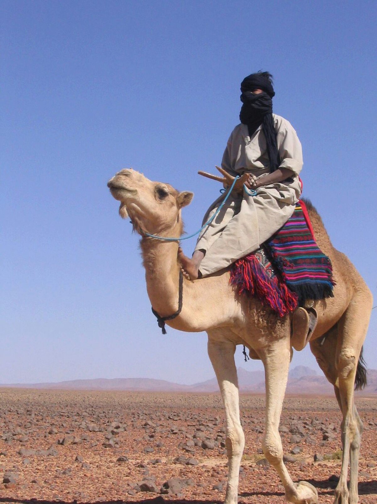 Hoggar caravane2.jpg