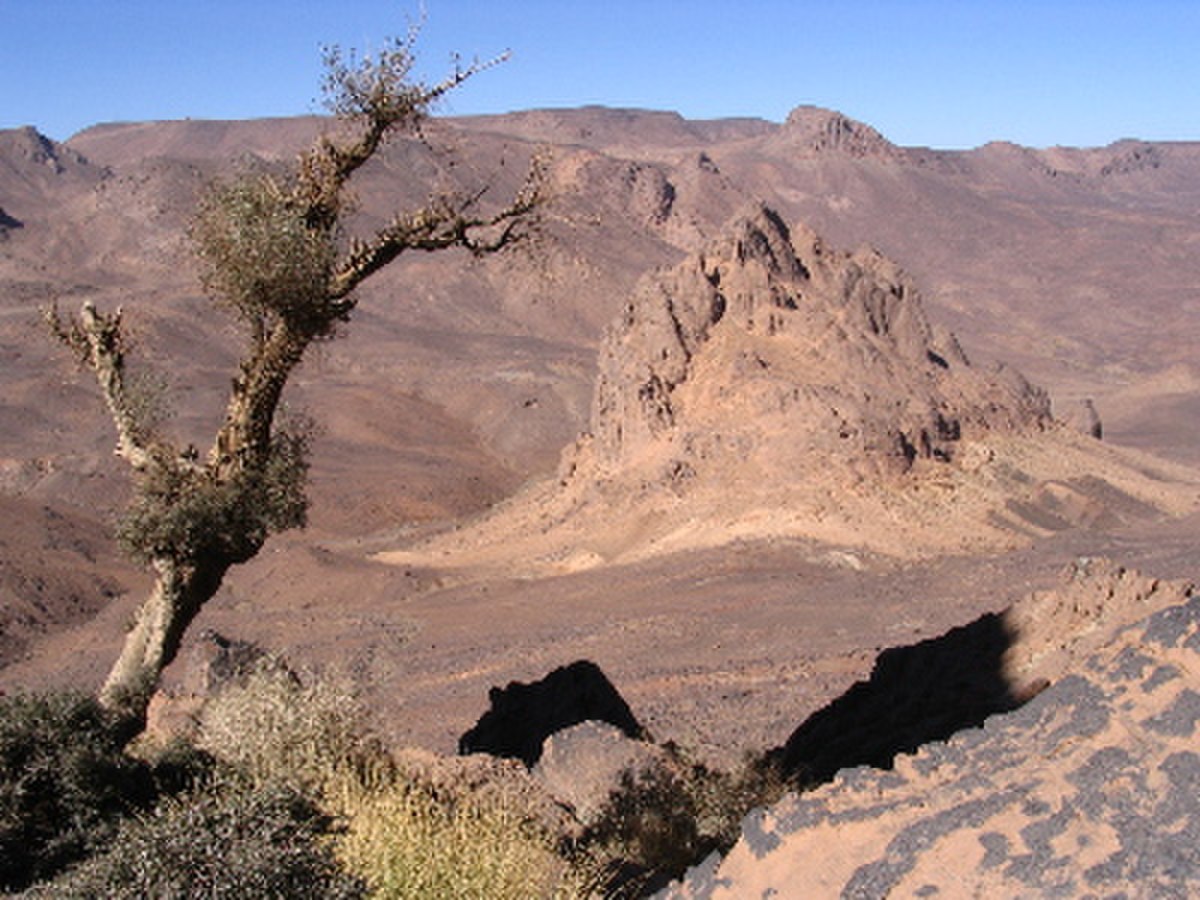 Hoggar1.jpg