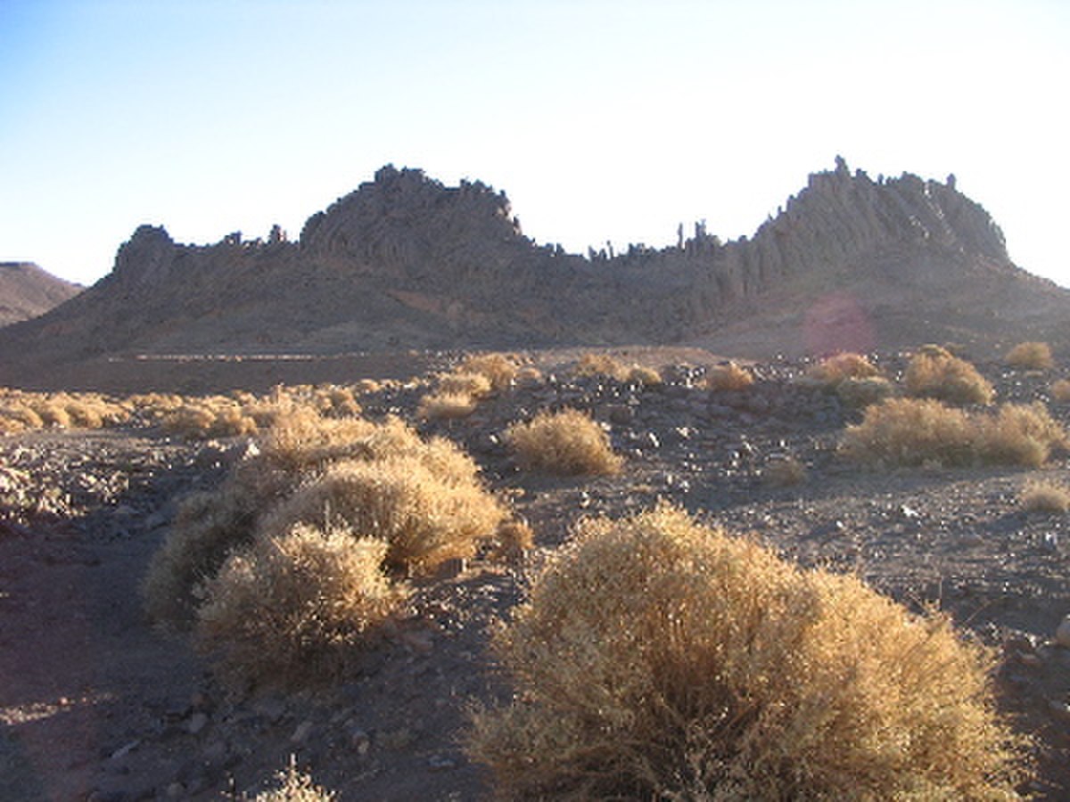 Hoggar5.jpg