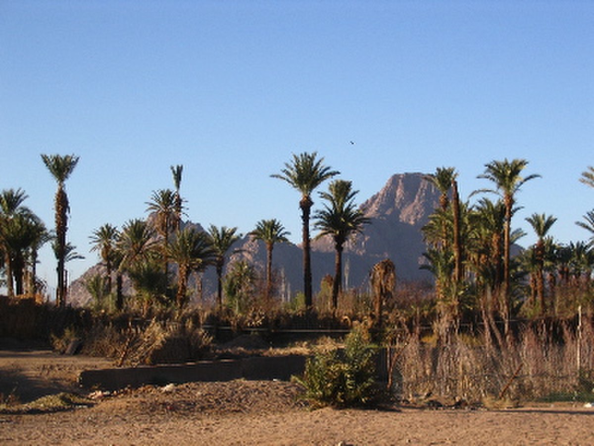 Hoggar8.jpg