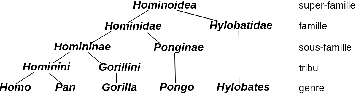 Hominini