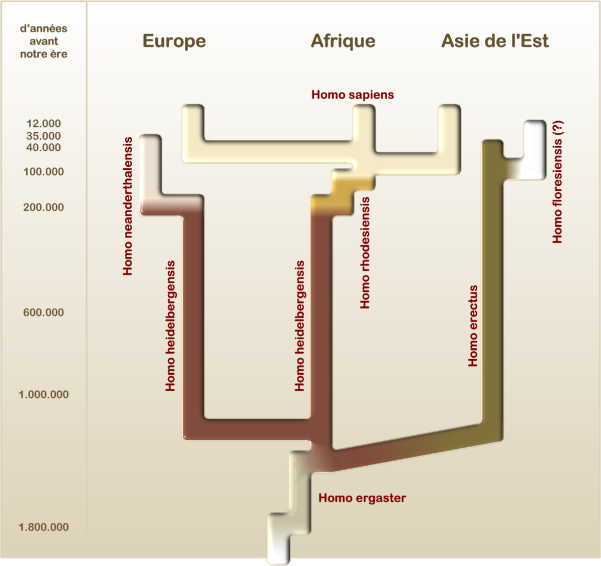 Homo extreme splitter (francais).png