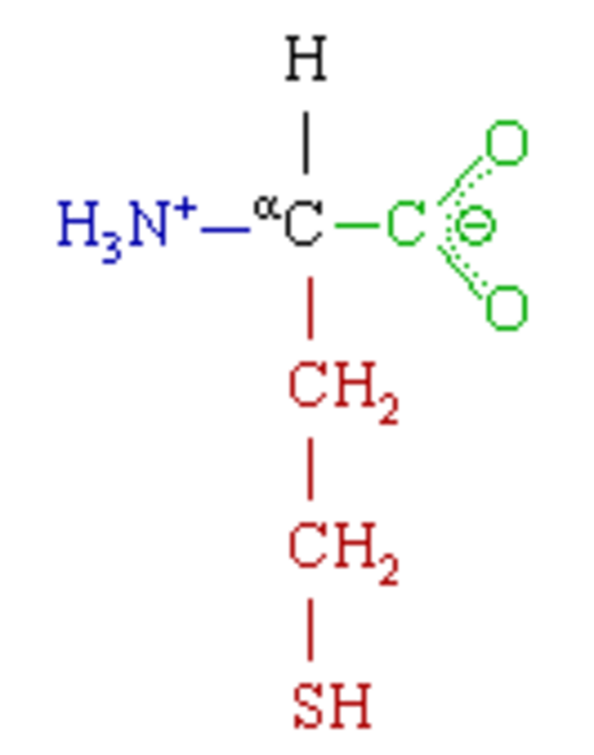 Homocystéine
