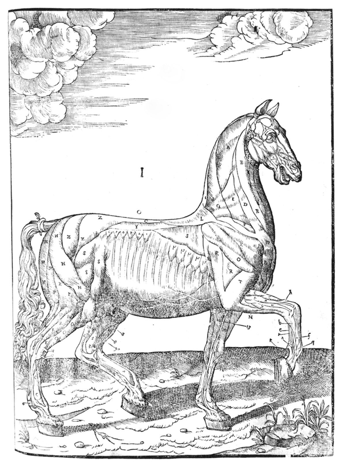 Carlo Ruini
