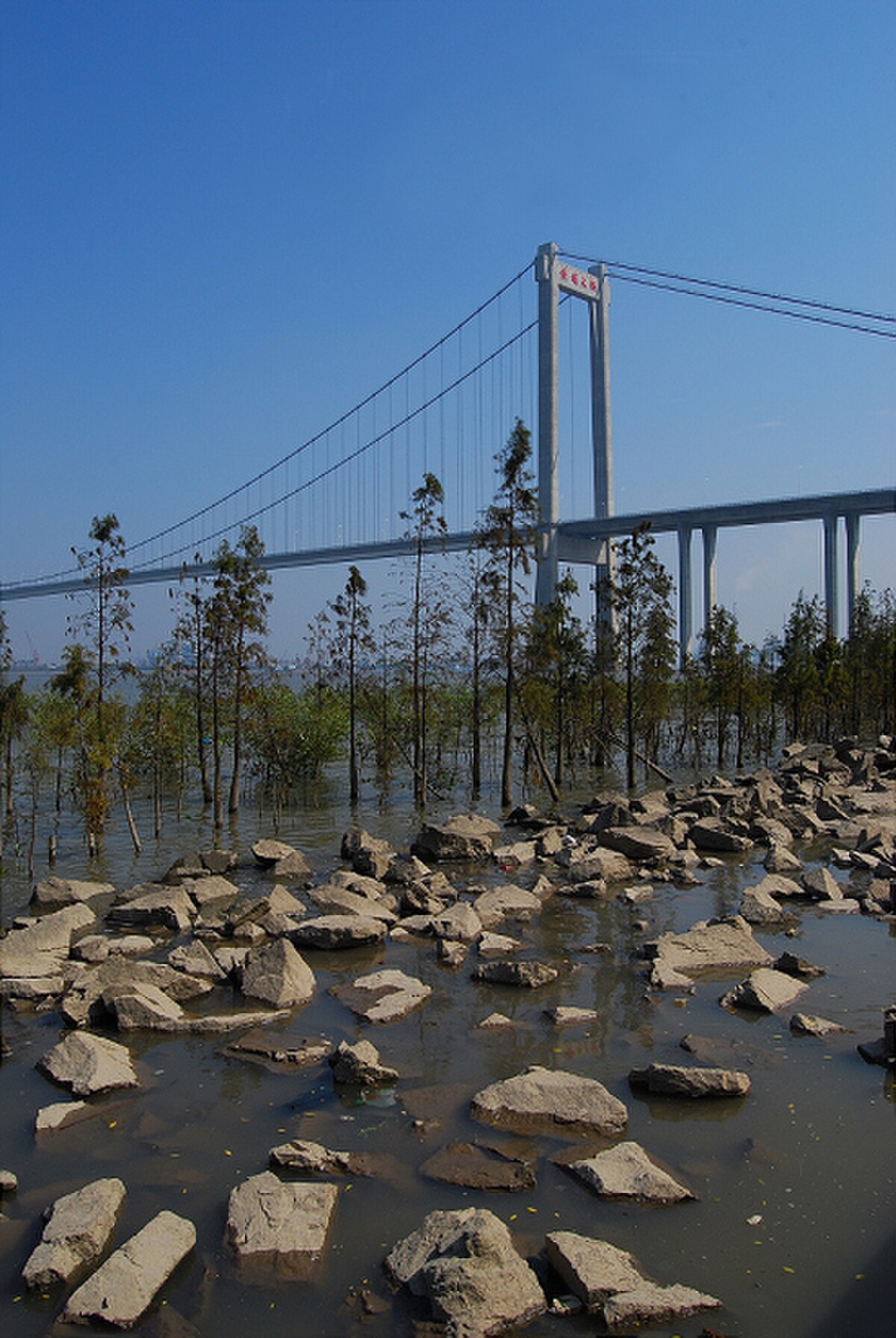 Huangpu bridge.jpg
