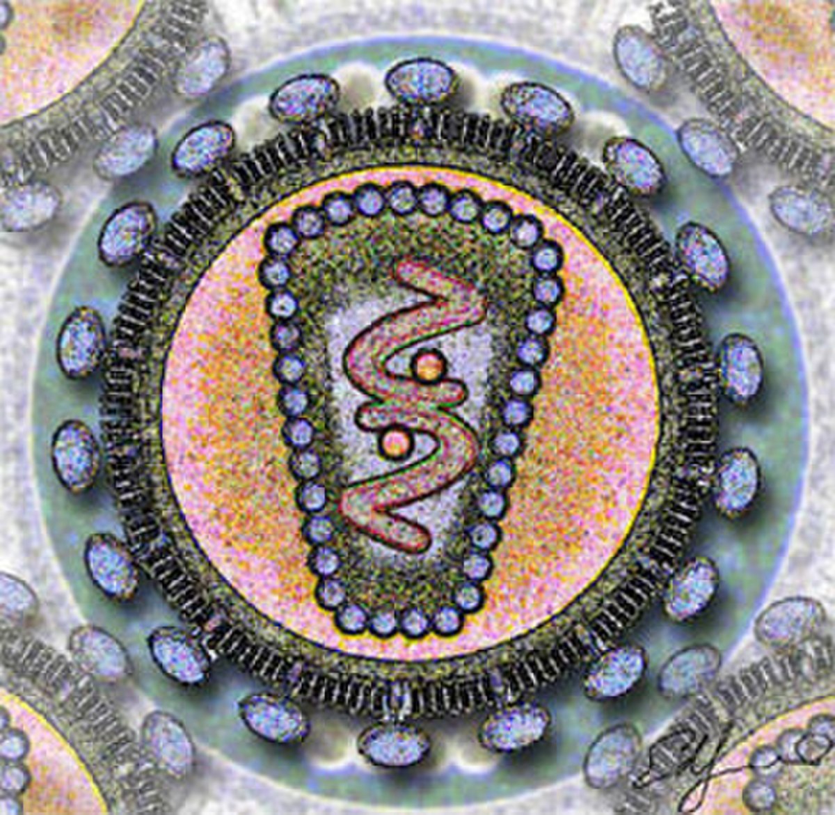 VIH-2